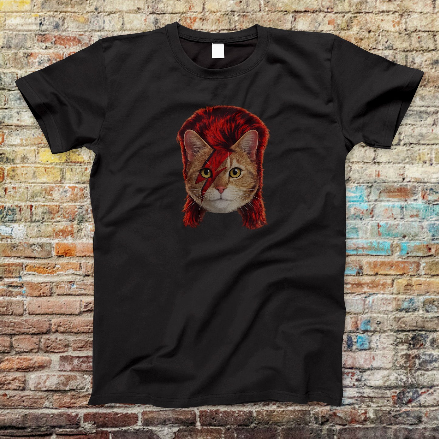 Kitty Stardust